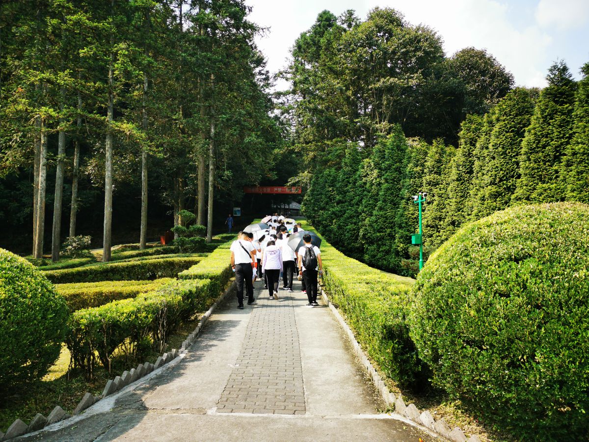 Visitors walking the hedge-lined approach path into the Longtan scenic area at Jinggangshan