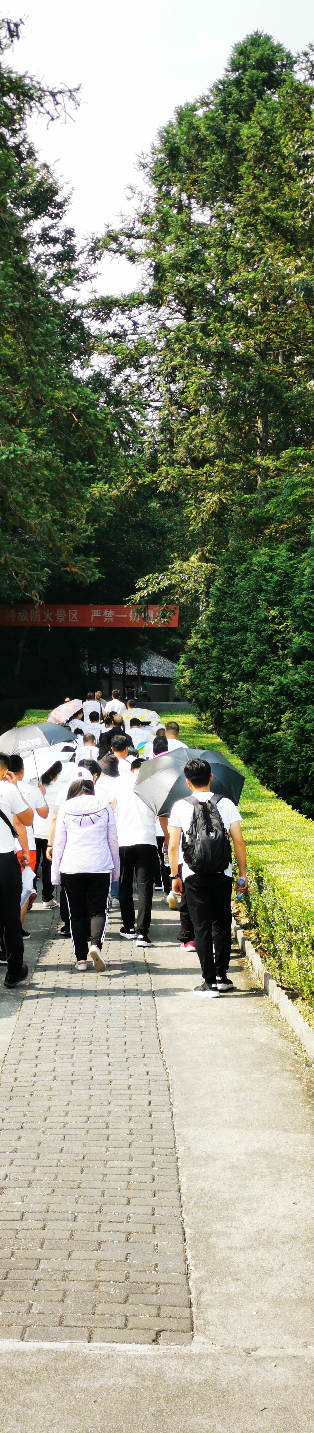 The Longtan scenic area at Jinggangshan — a lush valley of stacked waterfalls and pools in sub-tropical forest