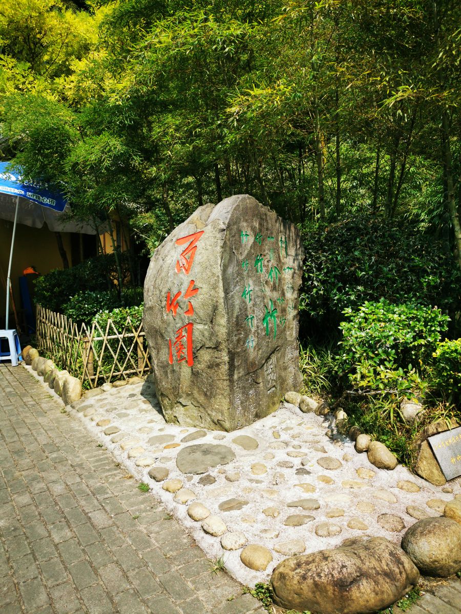 The inscribed entrance stone at the Bamboo Garden (Baizhu Yuan, 百竹园) on Jinggangshan, backed by dense green bamboo