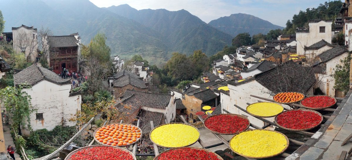 Huangling's famous autumn 'sun-drying' (晒秋): round bamboo trays of red chillies, orange persimmons and gold spread on racks across the village rooftops