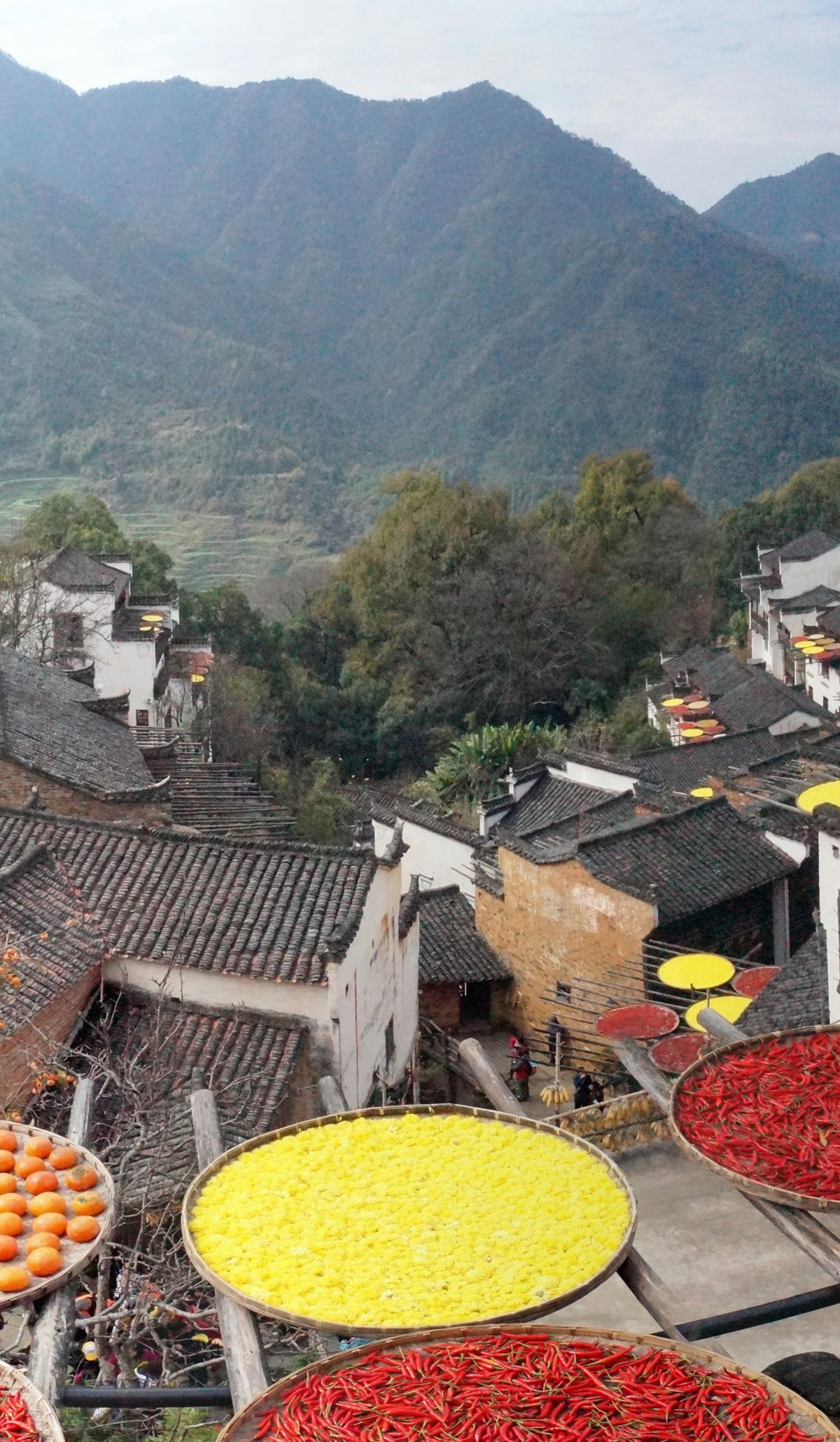Huangling's famous autumn 'sun-drying' (晒秋): round trays of red chillies and golden corn spread across the village rooftops